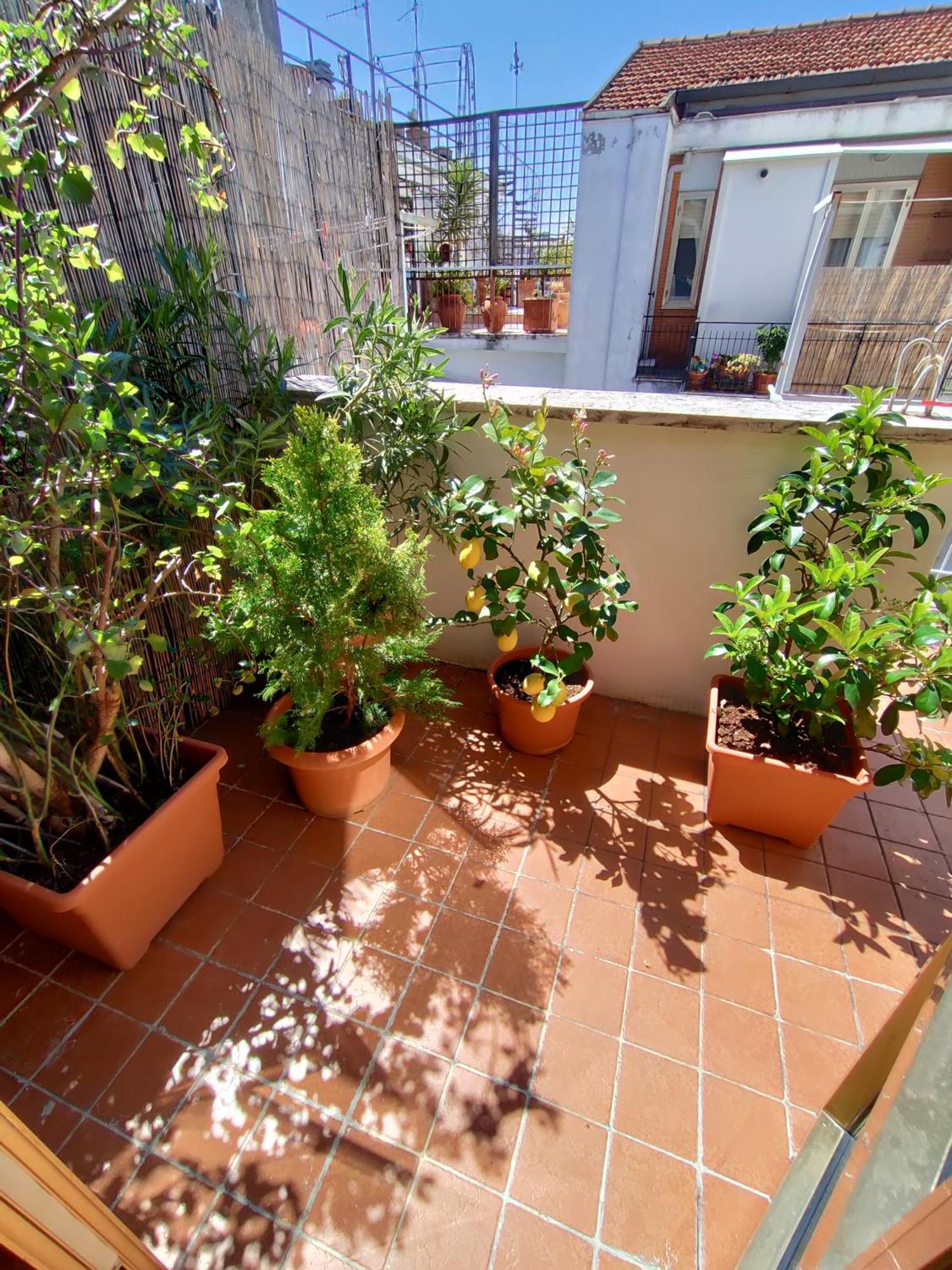 Bed and Breakfast La Dimora Degli Artisti Pescara Habitación foto